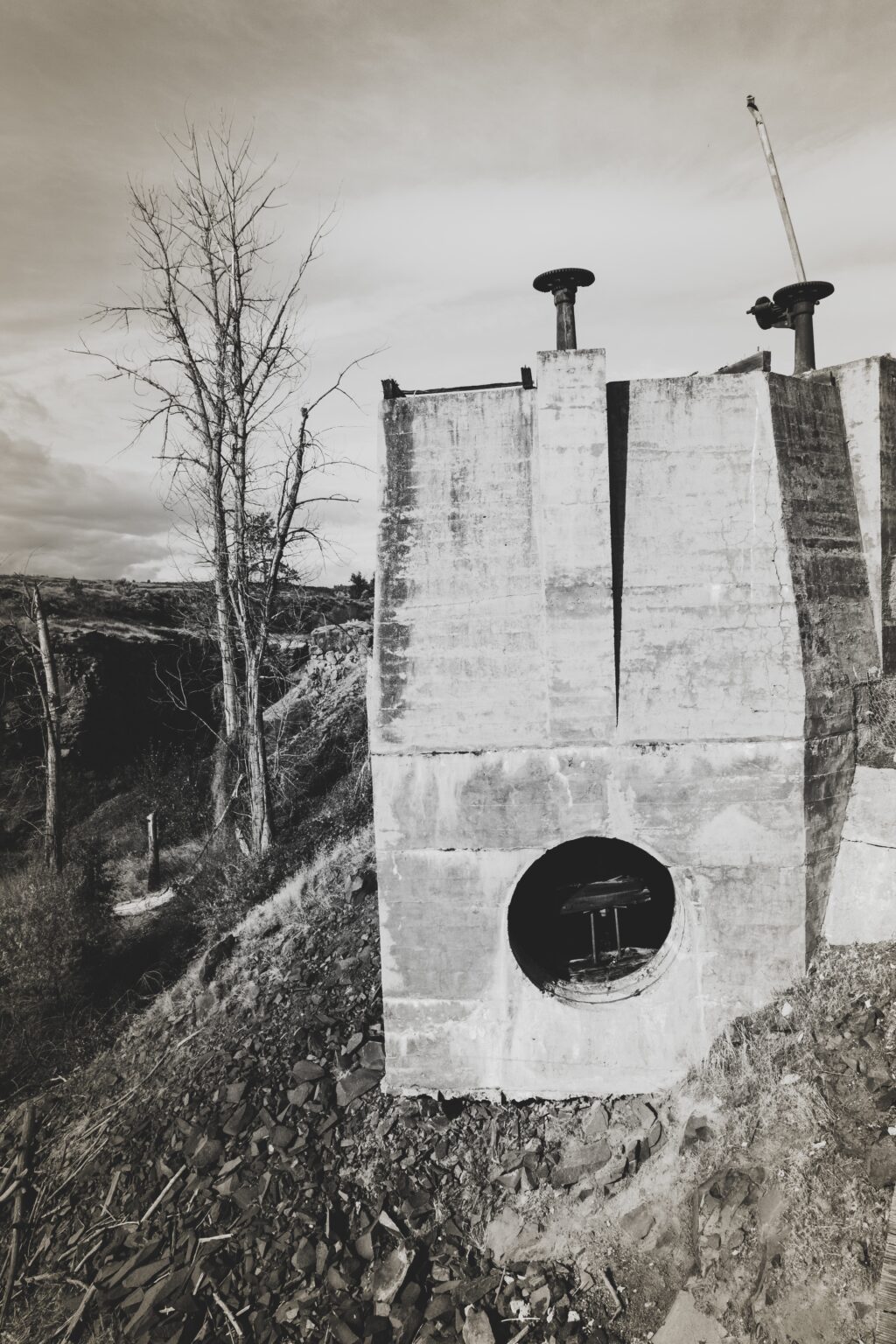 A vertical shot of a buildings on the hill with a cloudy sky in the background in black and white