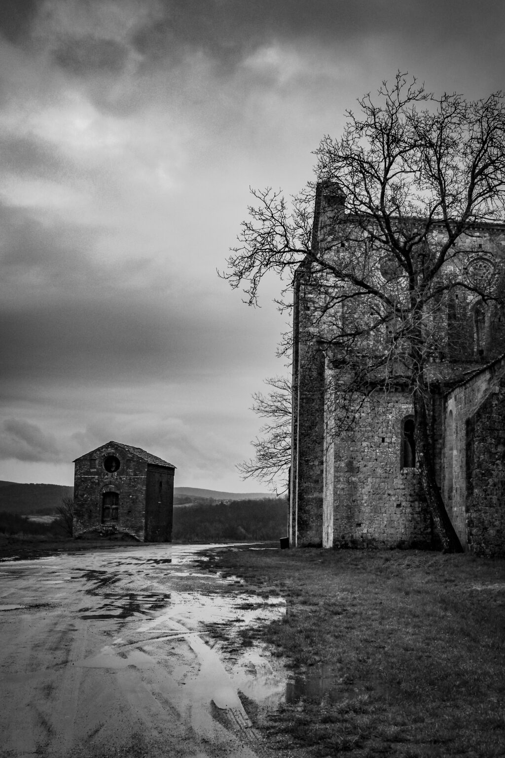 A vertical shot of a pathway near a big house with a tree in front of it and a small building in the distance in black and white